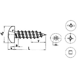 Cross recessed pan head tapping screw DIN7981 details